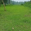 Bán mảnh đất 500m2 tại Phúc Trìu Thái Nguyên đầu tư sinh lời 