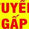 Cần Tuyển 10 tài xế dấu E chạy xe buýt nội thành, Lương từ 18tr -20tr