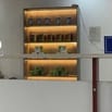 Cần gấp 01 Lễ Tân nữ văn phòng