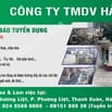 TUYỂN THỢ VỊ TRÍ:  BẾ - XÉN - DÁN - LDPT