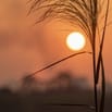 Cần 03 Nữ trung tuổi bán hàng tại chỗ