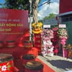 Tuyển 200 chiến binh tham chiến dự án Vinhomes Green Paradise Cần Giờ