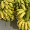 Tuyển nam phụ bán trái cây ưu tiên người Miền Tây 