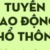 Cần tuyển 3 nam Lao đông phổ thông, từ 18-42 tuổi, y/c: có bằng lái xe