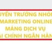 Tuyển trưởng nhóm Marketing Online, mảng dịch vụ tài chính ngân hàng