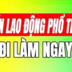 Tuyển Nam nữ lao động phổ thông không cần kinh nghiệm 