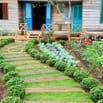 Chính chủ bán 1000m2 thôn 3 cư Êbur có cà phê 20x50  tiêu siêu đẹp 