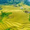 Chính chủ bán 1350m2, thôn Muồng Voi, Vân Hòa, Ba Vì 400m2 thổ cư