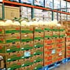 CẦN TUYỂN GẤP NAM, NỮ LAO ĐỘNG PHỔ THÔNG