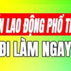 Cần người phụ dọn dẹp sắp xếp quầy kệ tại cửa hàng