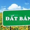 Lô đất mặt tiền Nguyễn Văn Bứa, xã Xuân Thới Sơn Hóc Môn, 3000m2, 35tr