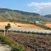 Bán 150m2 đất Đông Thanh chỉ 430 triệu, cách đường nhựa 500m