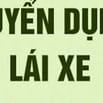 THẠCH CAO PHÚ HÀ Tuyển 02 lái xe bằng B2 trở lên, đi làm ngay