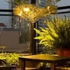 Cần vài bạn phụ chị bán cafe, đồ uống các loại