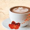 CẦN NGƯỜI ĐI LÀM NGAY TRONG TUẦN