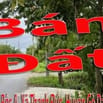 Cần Bán Mảnh Đất 280 m2 : Xã Thạnh Đức, Huyện Gò Dầu, Tây Ninh