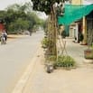 Chính chủ bán đất mặt đường Vân Canh, Hoài Đức, Hà Nội
