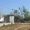 CHÚ SÁU KẸT TIỀN CẦN BÁN GẤP LÔ ĐẤT TX TRẢNG BÀNG DT NGANG 6 DÀI 45
