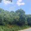 chuyển nhượng quyền sd đất, lô đất có 1---0---2  tại Hợp Thành, Kỳ Sơn