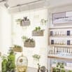 CẦN GẤP NHÂN VIÊN ĐỨNG QUẦY THANH TOÁN VÀ TƯ VẤN 