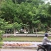  CHO THUÊ KHO + VĂN PHÒNG Vị trí đắc địa cạnh Siêu thi AEON