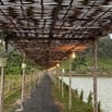Bán đất Đang Kinh Doanh Buôn Bán ấp Bàu Chim, Xã Phú Xuân, Tân Phú ĐN