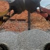 CẦN TUYỂN TX BA GAC GIAO VẬT LIỆU XÂY DỰNG