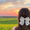 TUYỂN Gấp Nhân Viên Văn Phòng
