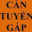 Cần 3 nhân viên đóng thùng hộp giấy tại khu vực TPHCM 