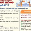Tuyển gấp 50 Lao động phổ thông Khu công nghiệp Cái Mép – Vũng Tàu