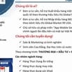 Cần Tuyển nhân viên Marketing thương hiệu