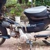 xe cup 50cc học sinh lên hơi khoẻ