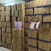 QUẬN PHÚ NHUẬN TUYỂN GẤP NHÂN LÀM VIỆC