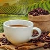 🍹 Làm Việc Vừa Chill Vừa Có Tiền – Tuyển Nhân Viên Cafe, Trà Sữa TPHC