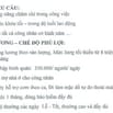 Công ty Phân Bón Phượng Hoàng tuyển gấp công nhân sản xuất