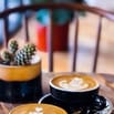 TUYỂN DỤNG NHÂN SỰ BÁN COFFEE THÁNG 6