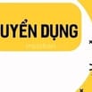 Công ty mở rộng chi nhánh cần tuyển gấp 5 nhân viên đi làm ngay ở Q4.