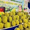 Chuỗi Siêu Thị Bổ Sung Nhân Sự Dịp Hè Ở Vị Trí Tạp Vụ, Bán Hàng, Kho