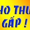 CHO THUÊ BIỆT THỰ LÔ SỐ 20-TT3 KHU ĐÔ THỊ PHỐ GIAO LƯU, CỔ NHUẾ