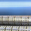 TUYỂN NHÂN VIÊN VĂN PHÒNG VỀ ĐÈN LED  : Nữ 22 TUỔI-40 TUỔI