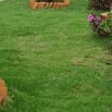 Bán nhà đất gần trung tâm Bảo Lộc chỉ với giá 6 tỷ đồng