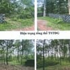 Bán đấu giá đất tại xã Phú Sơn, huyện Ba Vì, thành phố Hà Nội