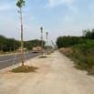 CHO THUÊ ĐẤT CÓ SKC MT ĐƯỜNG TẠO LỰC NGAY CHỢ PHÚ GIÁO,  THỜI GIAN 20 