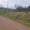 Bán đất tại xã Đan Phượng, Lâm Hà, Lâm Đồng. View thoáng mát.