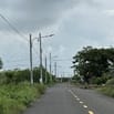Cần bán đất cho nhà đầu tư ! Ngân hàng hỗ trợ 100%