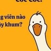 CẦN TUYỂN NV VĂN PHÒNG VÀ LĐPT