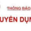 TUYỂN TRỰC TIẾP QUẬN BÌNH TÂN LÀM LÂU DÀI KHÔNG CẦN KINH NGHIỆM 
