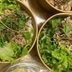 Cần tuyển Sinh viên phụ bán Quán ăn Online (Grabfood/Shopeefood/Befood