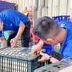 TUYỂN 10 NHÂN SỰ LÀM VIỆC CHÍNH THỨC LÂU DÀI TRONG SIÊU THỊ 