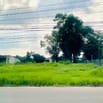 CẦN SANG LẠI 2 SÀO ĐẤT (2250M2) SHR-MT ĐƯỜNG LỚN, ĐIỆN 3 PHA DÂN ĐÔNG 